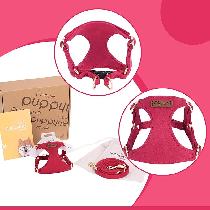 Puppytie No Pull Small Dog Harness with Multifunction Dog Leash,Lightweight Soft Adjustable No Choke Escape Proof Pet Harness Vest Pet Harness Vest,red,S
