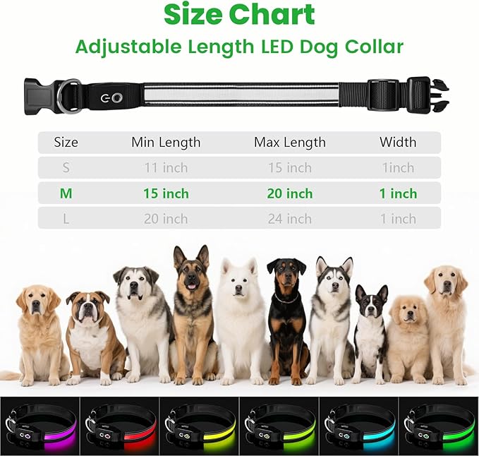 Auto Light Up Dog Collar - Smart Safety Night Collar with Motion Sensor - Auto-On in Dark - USB-C Rechargeable - 3 Day Runtime- IP65 Waterproof - M