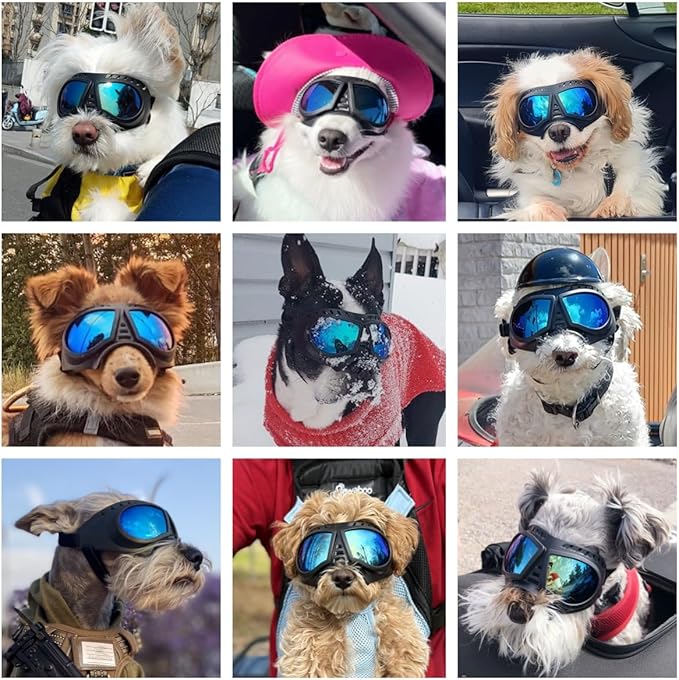 Namsan Dog Goggles Small Breed, Wide Snout & Soft Frame, Tactical Driving Sunglasses for Dogs Small to Medium Breed, Anti-UV Dog Eye Protection, Windproof Dustproof, Adjustable, Blue Lens