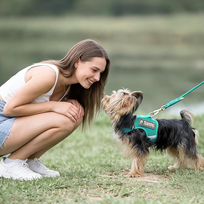 Durable Handwoven Dog Leash for Small & Medium Dogs, 5/16 inch Rope Lead with Anti-Tangle Swivel Clip, Soft & Lightweight, 5FT Long – Ideal for Daily Walking & Training (MARRS Green)