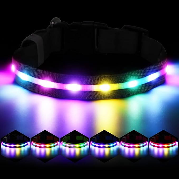 Light Up Dog Collar, USB Rechargeable 6 Modes, Waterproof Charging Port, Long Lasting LED Collar - Adjustable Nylon Reflective for Dogs, Sizes S/M/L (7/9/11 Lights) - 5 Colors (Black, L)