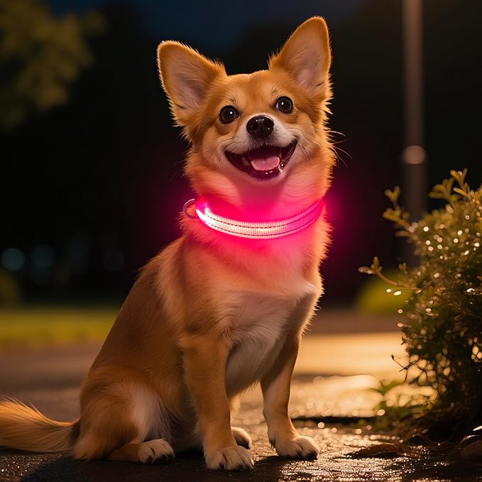 Light Up Dog Collar for Small Dogs - LED Dog Collar Rechargeable Adjustable Puppy Collars, Glow in The Dark Dog Lights for Night Walking & Camping (X-Small, Pink)