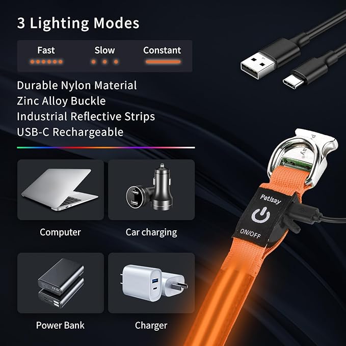 LED Dog Collar with Metal Buckle - USB Rechargeable Glow Collar for Dogs, Waterproof Light Up Dog Collar w/Reflective Strips - Adjustable Night Safety Collars by PetIsay(Orange,Medium)
