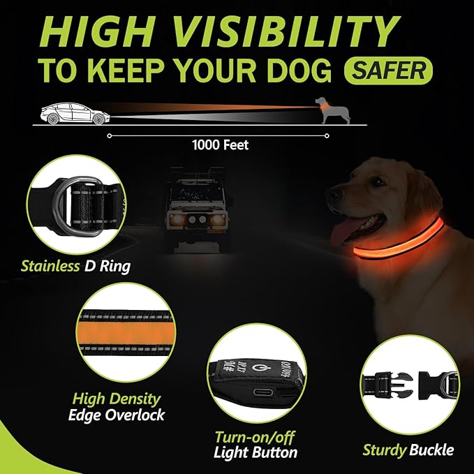 Lighted Dog Collars Rechargeable, Glow in Dark Dog Collar Waterproof, Flashing Led Dog Collars, Light Up Dog Collar for Night Walking (Orange, Pack of 1, S)