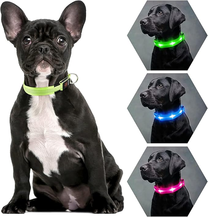 Weesiber Light Up Dog Collars - Rechargeable LED Collar - Reflective Adjustable Dog Lights for Night Walking (Green, Small)