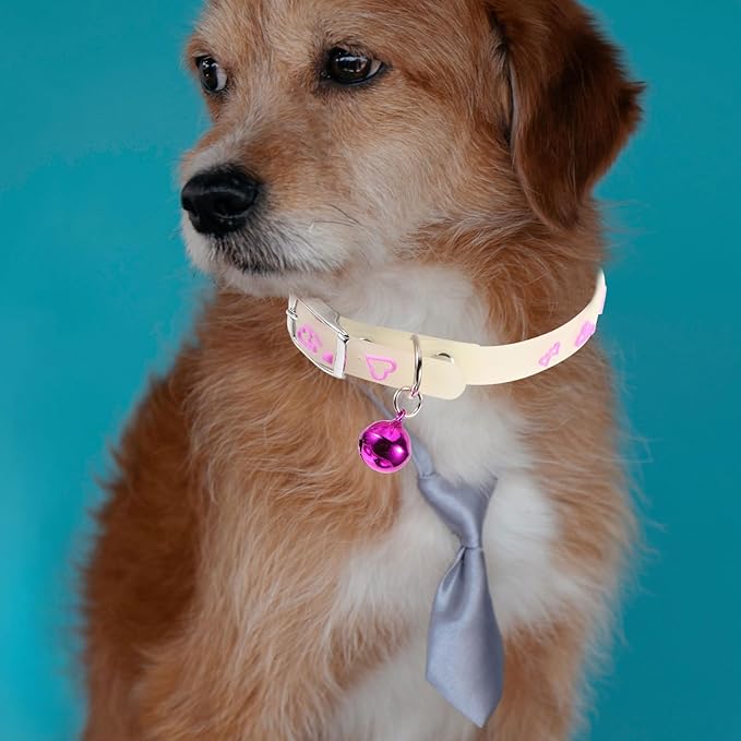 KESYOO Adjustable Luminous Collar for Pets 5 Pieces Random Colours Fluorescent Design Comfortable Anti-Lost Pad Suitable for Dogs and Cats on Walks Random Colour
