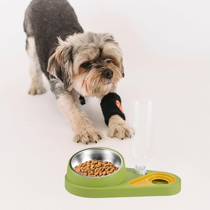 Automatic Pet Feeder with Water Bowl Dog Cat Food Dispenser Lightweight Compact Design Easy to Use for Home Pet Care