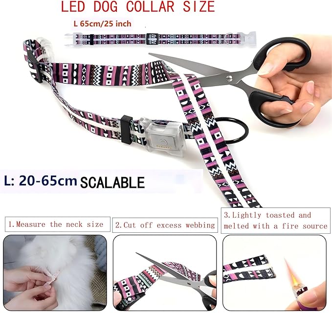 Light Up Dog Collars,LED Dog Collar Rechargeable Waterproof,2-in-1 Buckle Type Glow Dog Collar for Small to Large Dogs,XL(Bohemian Purple)