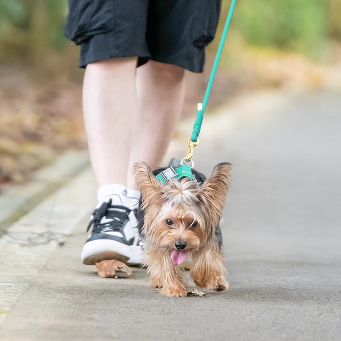 Durable Handwoven Dog Leash for Small & Medium Dogs, 5/16 inch Rope Lead with Anti-Tangle Swivel Clip, Soft & Lightweight, 5FT Long – Ideal for Daily Walking & Training (MARRS Green)