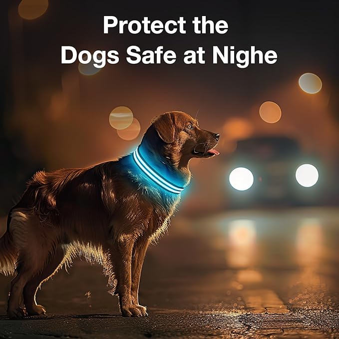 Light Up Dog Collar Rechargable,Reflective LED Collars for Small Medium Large Dogs,Lighted Dog Collars Lights for Night Walking-Waterproof,Black,S