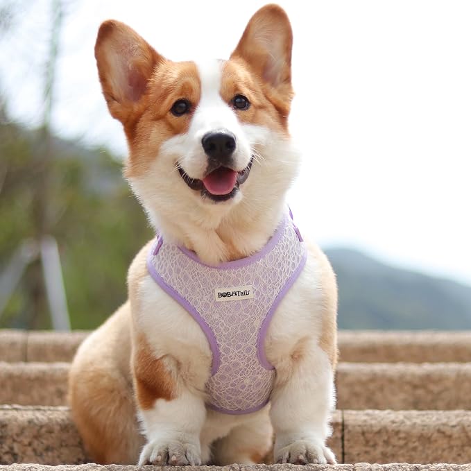 No Pull Dog Vest Harness for Small&Medium Dogs, Side Clip Adjustable Pet Vest, Soft Breathable, Fashion Dog Harnesses for Walking, Running, Shopping (Purple, S)