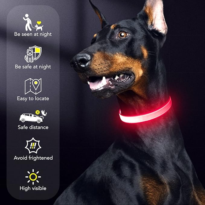 LED Dog Collar Light Up Dog Collars Red Light USB Rechargeable, Adjustable Size Heavy Duty TPU Nylon Webbing Glow Safety Basic Dog Collars for Large Medium Dogs (M,Candy Pink)