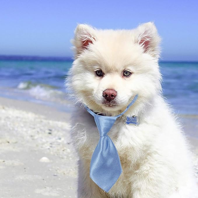 Segarty Small Dog Ties, 40 PCS Dog Neck Bow Tie with Adjustable Solid Color Pet Bowtie Collar for Wedding Holiday Birthday Christmas Costumes Grooming Accessories, Bulk Necktie Gift for Cat Puppy Pets