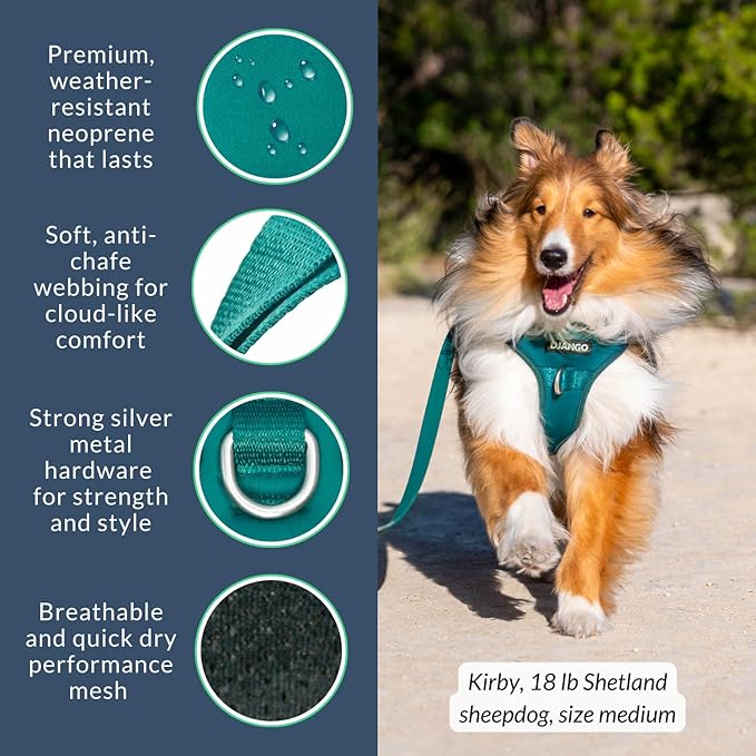 DJANGO Tahoe No Pull Dog Harness – Escape-Proof Dog Harness for Small & Medium with Front & Back Clips for Everyday Use – Adjustable, Padded, Reflective, Secure Fit, Easy On/Off – Dark Teal, Medium