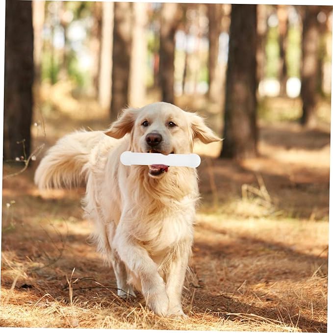 ibasenice Dog Scent Training Tool Kit Scent Work Equipment for Nose Work Agility Training and Service Dogs Includes and Accessories