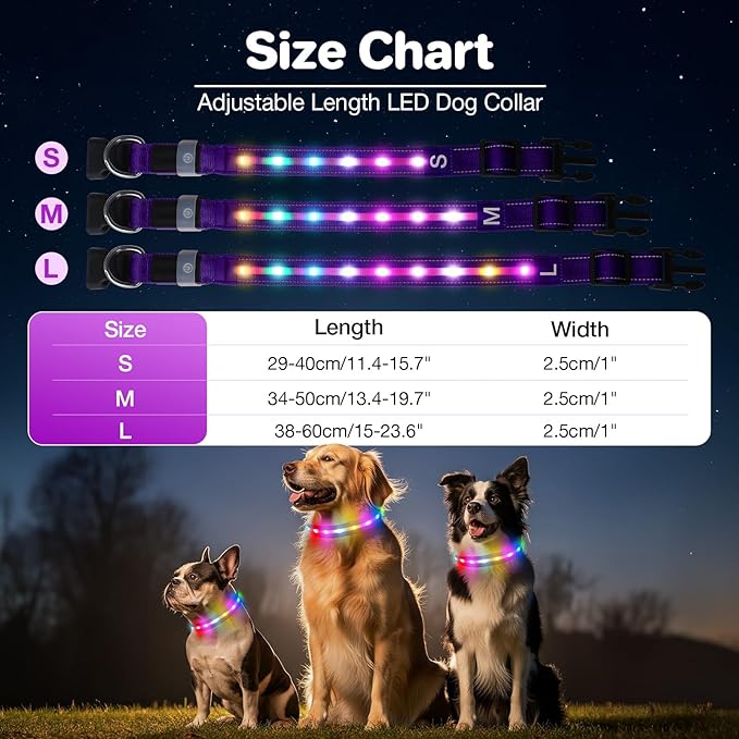 Light Up Dog Collar, USB Rechargeable 6 Modes, Waterproof Charging Port, Long Lasting LED Collar - Adjustable Nylon Reflective for Dogs, Sizes S/M/L (7/9/11 Lights) - 5 Colors (Purple, M)