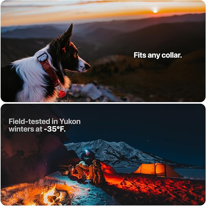 Säker Dog Collar Light - Waterproof Dog Light for Night Walking with Charge Indicator, Rechargeable Magnetic Charger, 7 Lighting Modes with Red & White Blinking. Perfect Safety LED Flashlight