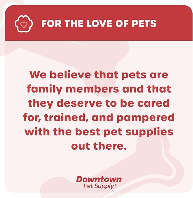 Downtown Pet Supply Raised Dog Bowl - Portable Feeder for Travel - Collapsible Silicone Design - 5 Cups Capacity - Lightweight Pet Feeder - Ideal for Small, Medium & Large Dogs - Dog Feeding Station