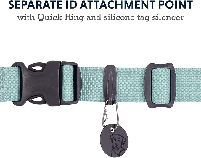 Ruffwear, Hi & Light Dog Collar, Ultralight Quick Release Buckle, Adjustable Trail Running Polyester Collar with Silent ID Attachment, Sage Green, 20"-26"