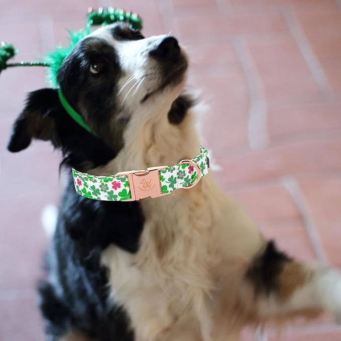 Elegant little tail St Patrick's Dog Collar, Green Clover Pet Collar Cotton Soft Holiday Pet Collar Cute Puppy Collar Adjustable Pet Collars for Large Dogs