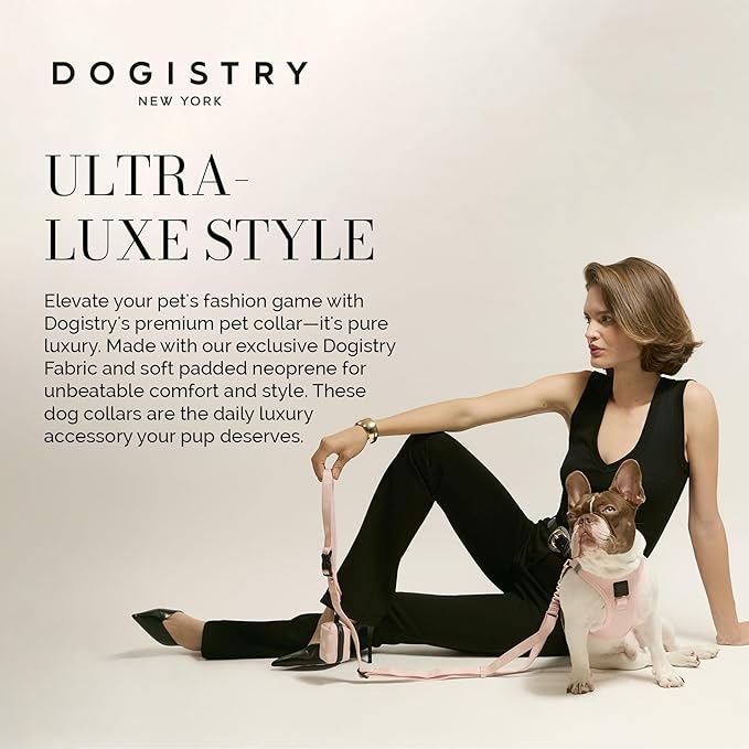 The DOGISTRY - City Collar - Blush - Premium Dog Collar with Padded Neoprene & Signature Fabric - Refined Design & Everyday Luxury - Large
