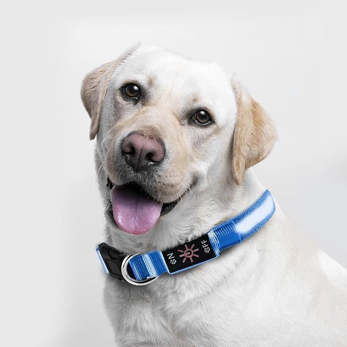 LED Dog Collar, Reflective Dog Collar, USB Rechargeable with 100% Waterproof Luminous Collar, Suitable for Medium and Large Dogs (Blue, M)