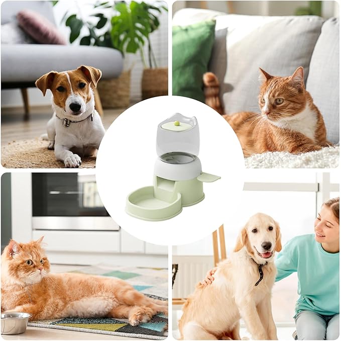 Pet Food Dispenser, 12.6x10.63x7.09 Inch 2L Capacity Automatic Feeder, PP PTE Press Design Dish for Backyard, Patio, Pet Store, Pink, Green