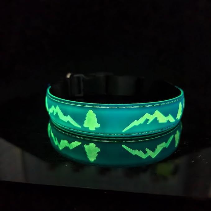 LED Dog Collar, 15 Light Modes, USB-C Rechargeable, Silicone Material, Adjustable Size, (Blue, S(7.87-11.8"))