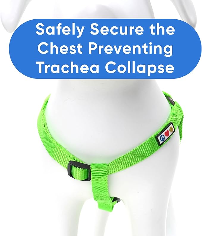 Pawtitas Personalized Dog & Puppy Harness Small Green Custom ID Tag Adjustable No Pull Vest