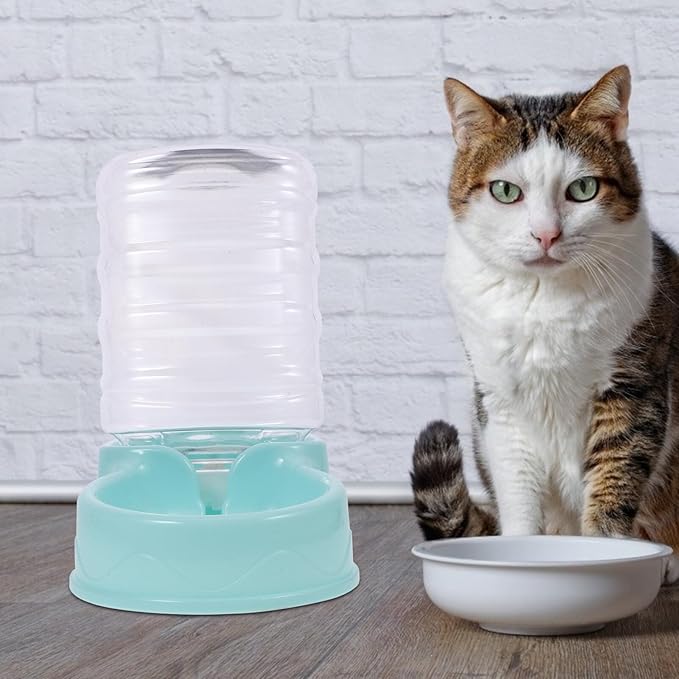 Pet Water Fountain Dispenser for Dogs and Cats Feeder Automatic Drinking Station for Home Use Easy to and Install