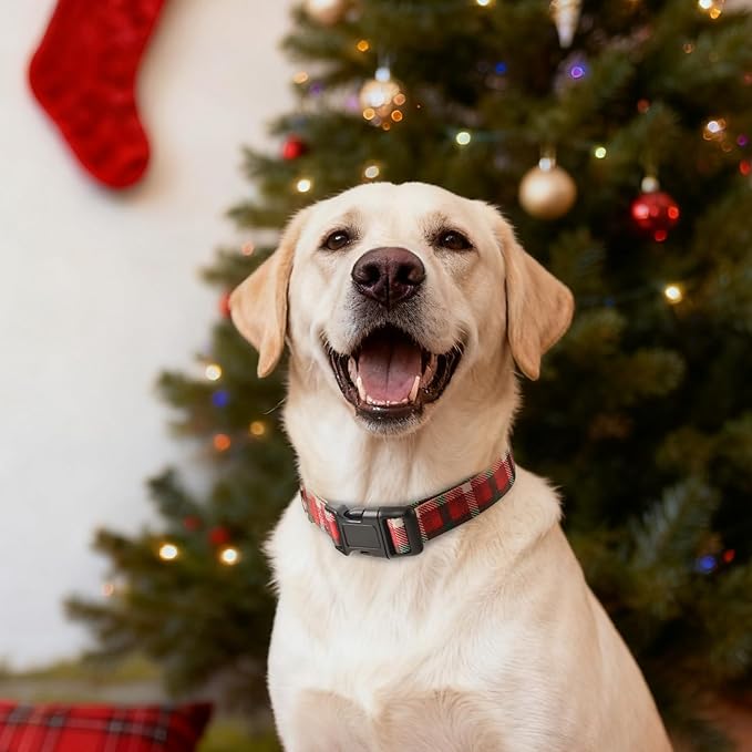 Christmas Dog Collar, Adorable Plaid Pattern Christmas Collar for Medium to Large Dogs - Comfortable & Cute Xmas Dog Collars, M