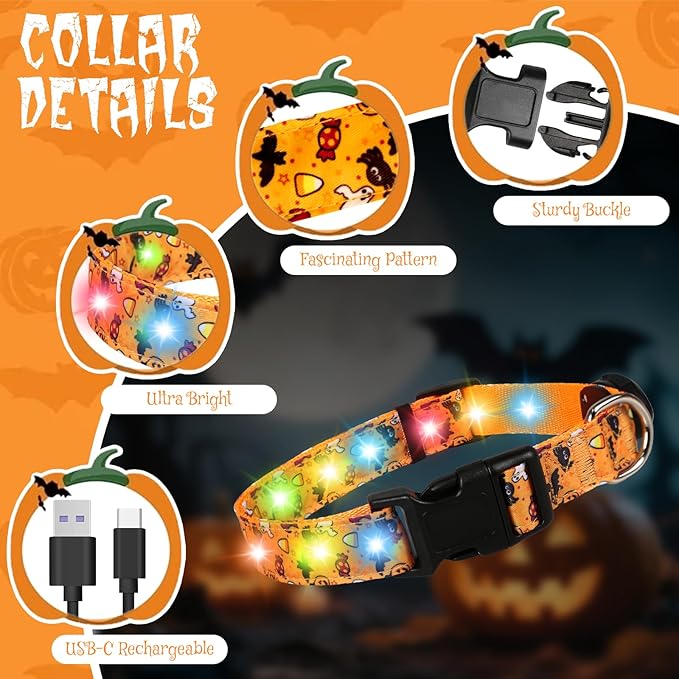 Halloween Light Up Dog Collar, LED Dog Collar Glow in The Dark - USBC Rechargeable, 3 Flashing Modes, Fashionable Cute Glowing Dog Light Up Collars for Medium Large Dogs, M