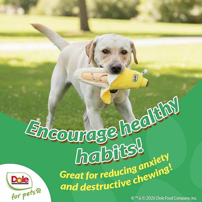 Dole for Pets® Dog Puzzle Toy with Squeaker, Banana Snuffle Dog Treat Toy for Small and Medium Dogs, Dog Enrichment Toys