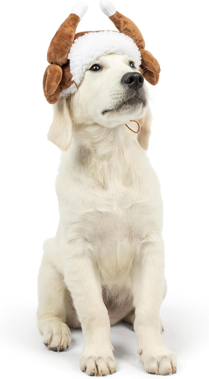 Huxley & Kent Pet Hat | Turkey Tester (Medium) | Fun Thanksgiving Holiday Hat for Dogs/Cats | Cute, Comfortable and Fun | SnugFit Strings for Best Fit