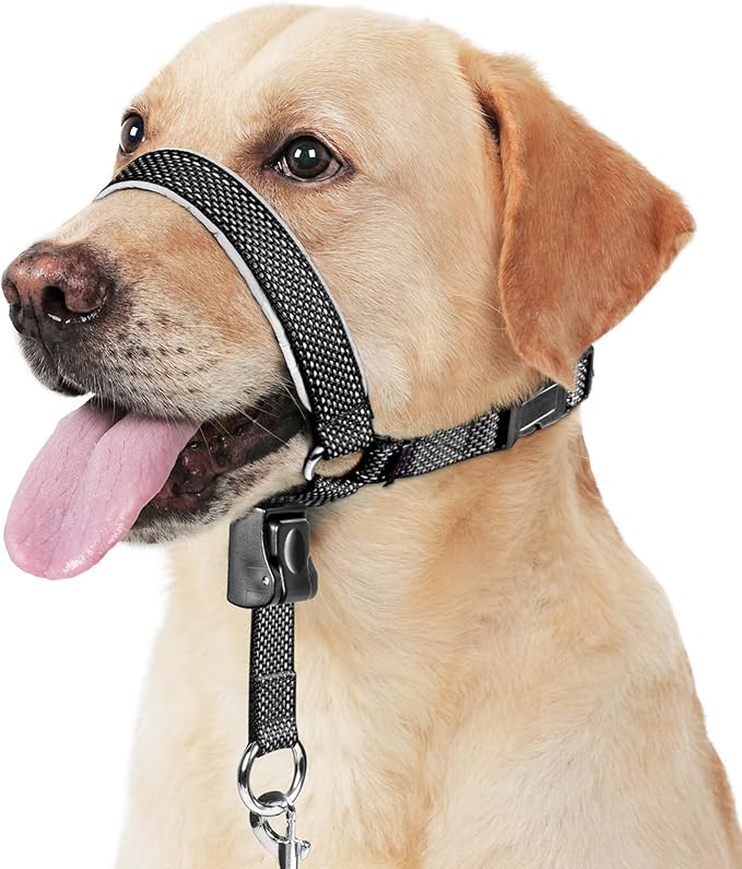 BARKLESS Dog Head Collar, Soft No Pull Head Halter, Reflective Muzzle Leash with Safety Link, Adjustable Headcollar, Padded Nose Leash for Large Medium Dogs Training Walking (Black, M)