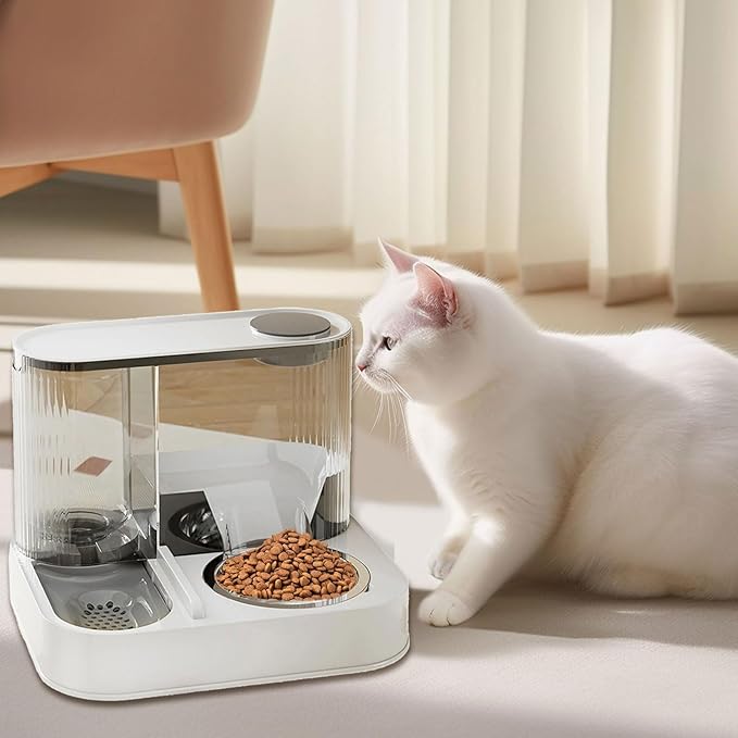 Elevated Pet Feeder and Water Dispenser, 2-in-1 Automatic Cat Dog Food Bowl with 10-Day Capacity, Circulating Water Fountain, Leak-Proof Detachable Stainless Steel Bowls, Raised Stand