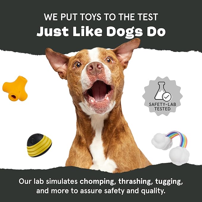 Barkbox Super Chewer Tough Dog Chew Toys for Aggressive Chewers, Treat Dispensing (Origin - Large)