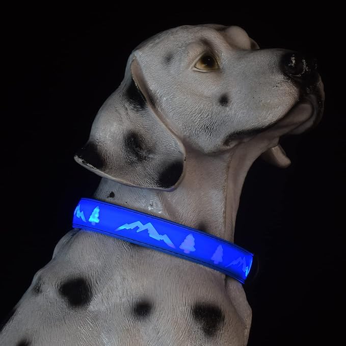 LED Dog Collar, 15 Light Modes, USB-C Rechargeable, Silicone Material, Adjustable Size, (Blue, M(11.8-15.7"))