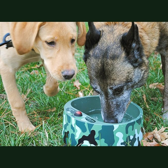 Heated Pet Bowl, Outdoor Pet Thermal Water Bowl, Dog Cat Heated Water Bowl with 69 Inch Chew Resistant Cord and Waterproof ON/Off Switch