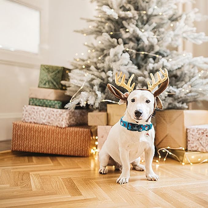 Lionheart glory Christmas Dog Collar, Blue Christmas Santa Deer Dogs Collar Adjustable Soft Comfortable Collars for Medium Dogs Girl or Boy Pet Gift Fall Cute Collar