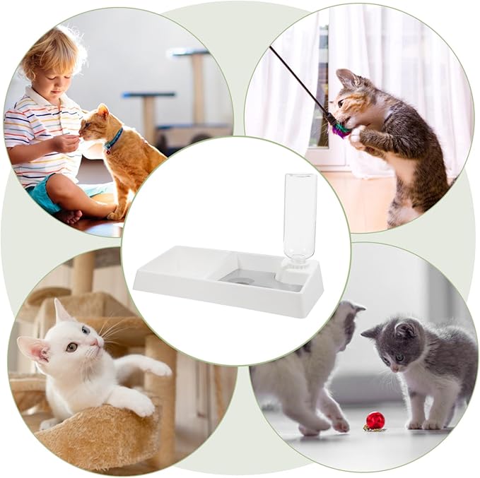Cat and Dog Bowl Automatic Water Feeder No-Spill Design Dual Pet Feeding and Drinking Dispenser