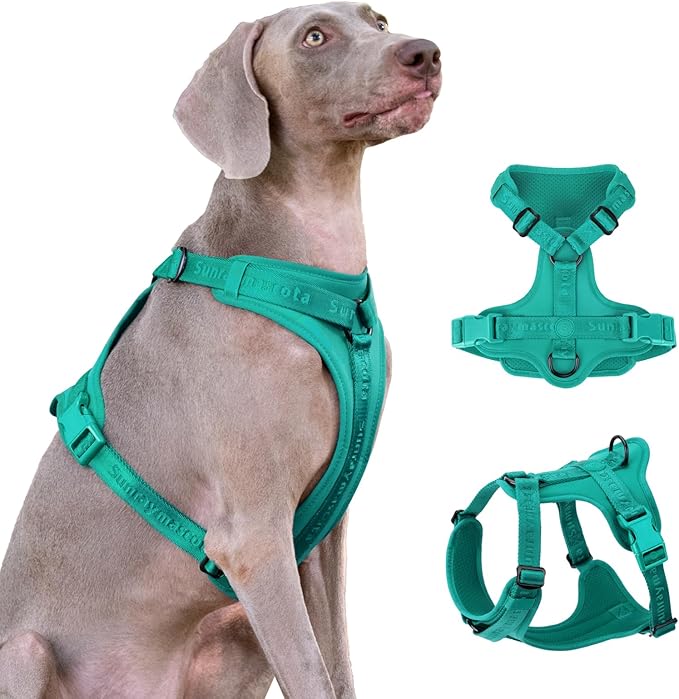 No Pull Dog Harness with Lycra, Three-Point Force Dispersion & 3D Padding, Adjustable Breathable Mesh for Small Medium Large Dogs(MARRS Green,XS)