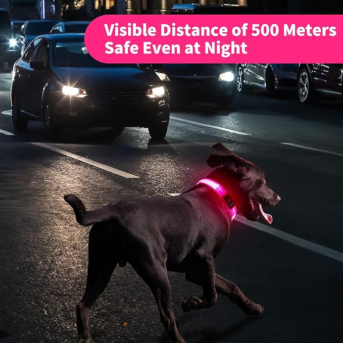 Light Up Dog Collars, LED Dog Collar Light Adjustable USB Rechargeable Super Bright Safety Light Glowing in The Dark Reflective Dog Collar for Medium Large Small Dogs