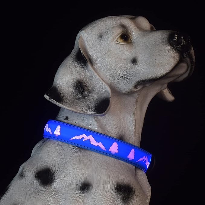 LED Dog Collar, 15 Light Modes, USB-C Rechargeable, Silicone Material, Adjustable Size, (Blue, S(7.87-11.8"))