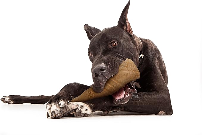 Power Bone Pet Chew Toy for Dogs - Durable, Non Toxic & Pet Safe - Best for Aggressive Chewers, Long Lasting Dental Health, Dog Teeth Cleaning, Dog Life Stages - Bottle 6.5''