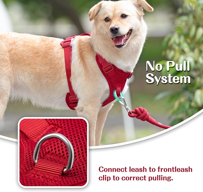 No Pull Dog Harness for Small Medium Large Dogs - Adjustable 2 Layer Mesh Dog Vest with Dual Clip, Escape Proof, Quick Release, Lightweight Breathable Mesh for Walking Hiking (Burgundy Red,M)