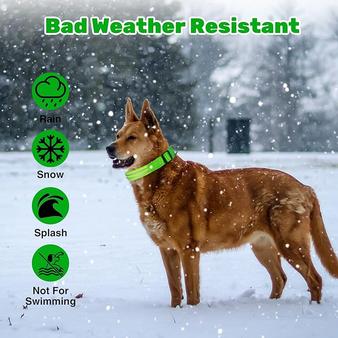 Geekman LED Dog Collar, LED Glow Collar with USB Rechargeable, Comfortable Adjustable Soft Mesh Safety Dog Collar for Dogs(Medium, Green)