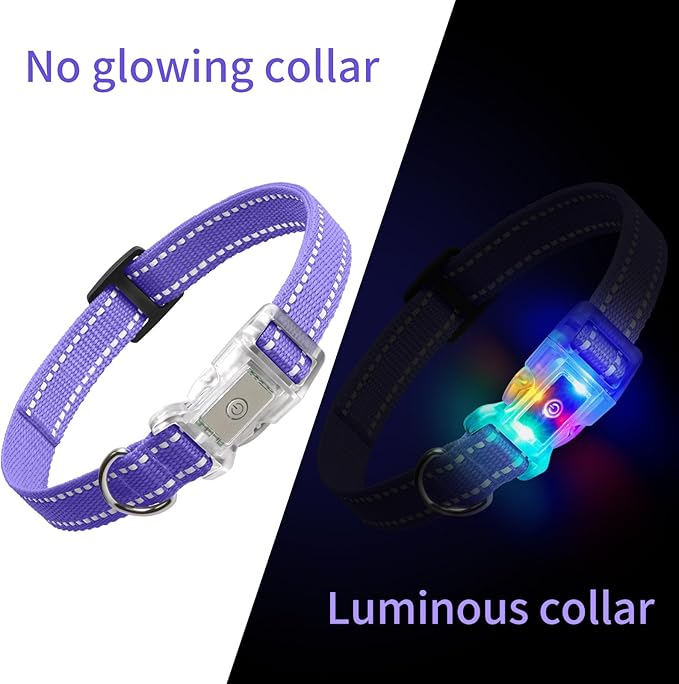 Rechargeable LED Dog Collar Suit for Small Large Dog, Dazzling Glow-in-The-Dark Light Collar, Prevent Traffic Accident Anti-Stampede Pet Supplies Glowing Collar (Purple)