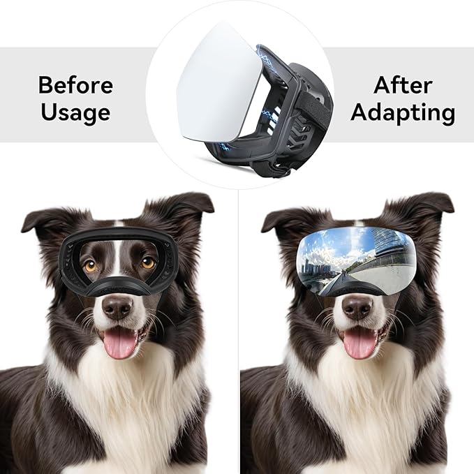 NAMSAN Dog Goggles for Large Dogs, Black/Silver Lenses Replaceable, Anti-UV Sunglasses for Dogs Medium to Large Breeds, Driving Dog Eye Protection, Windproof Dustproof, Adjustable, Green