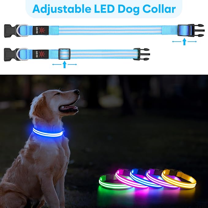 BSEEN Light Up Dog Collar, LED Dog Collar Rechargeable Reflective Puppy Collar Adjustable Pet Necklace Safety Dog Lights for Night Walking (Blue, Small)